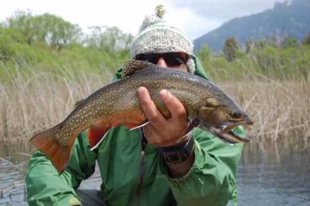 Rodrigo Amadeo with another trout caught fly fishing in Argentina